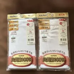 GUNZE 綿100% Mサイズ 下着 2枚セット