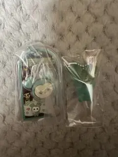 TWICE ミブリーキーホルダーセット