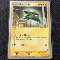 2026年最新】ポケモンカードゲームワールドチャンピオンシップ2004の