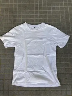 フルーツオブザルーム　tシャツ