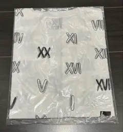 TEAM NACS XX（twenty）Tシャツ