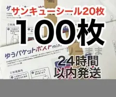 【100枚】オマケ付き ゆうパケットポストmini専用封筒 即日発送 折り無