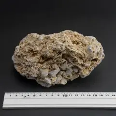 2025年最新】角礫岩の人気アイテム - メルカリ