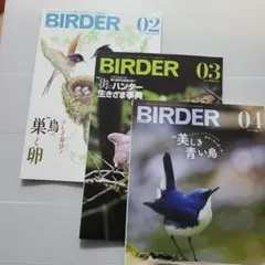 2026年最新】BIRDERの人気アイテム - メルカリ