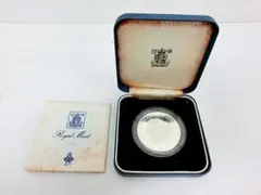 2025年最新】ダイアナ 銀貨 1981の人気アイテム - メルカリ