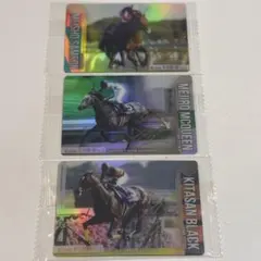 サラブレッドホースコレクション ツインウエハース 武豊 金箔押 レア