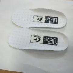 Item thumbnail for item 0f742e05-22cc-468e-8584-9fd94433ac73