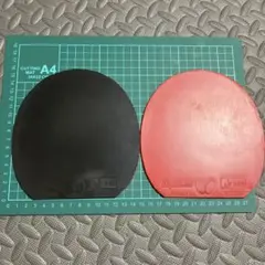 ディグニクス09c バタフライ