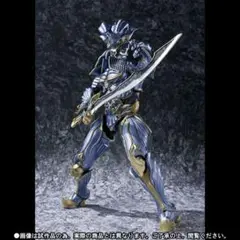 2025年最新】魔戒可動 閃光騎士ロードの人気アイテム - メルカリ