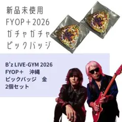 2026年最新】B z ピックの人気アイテム - メルカリ