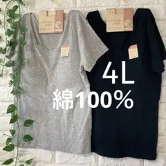 綿100％ カップ付き 半袖(フレンチ袖) 2枚組 4L ブラック グレー