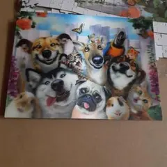 Item thumbnail for item 502f64ff-7807-4d9f-8848-aab2533863df