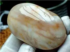AAA級★天然木化玉原石YT2U3/30U12C