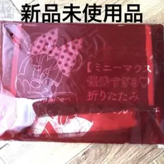 新品未使用ゼクシィ　優秀すぎるミニーマウス 折りたたみトラベルポーチ ディズニー