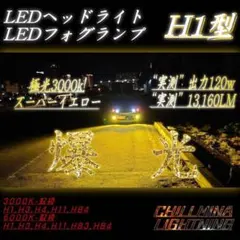 フィリップス 史上✨最高ルーメン値✨ハイルーメンタイプ LEDヘッド