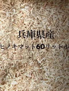 Item thumbnail for item b5f9f27b-cc57-44d9-9ff5-7931476bd9c3