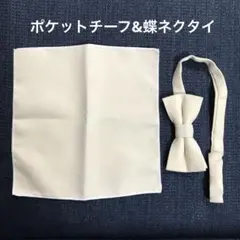 Item thumbnail for item 67e31108-d544-456f-b568-7b22c63a4b65