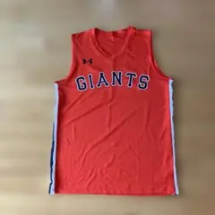 Item thumbnail for item 78769d17-8f19-490c-814c-d42ab74792b4