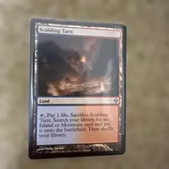 MTG 沸騰する小湖 MH2 日本語2枚セット - メルカリ