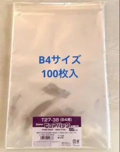 Item thumbnail for item 60d28d05-d82a-4a81-add7-7e45311f0b60