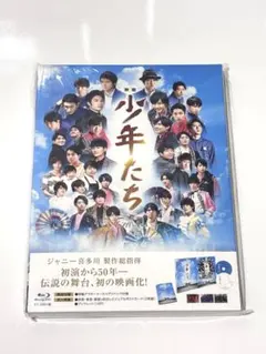 2026年最新】映画 少年たち 特別版('19映画「少年たち」製作委員会)〈2