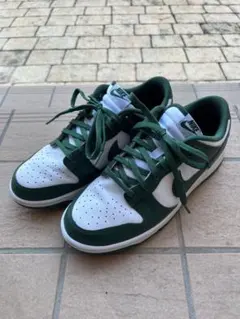 dd1391-101 dunk low retro