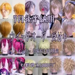 ウィッグオーダー受付 コスプレ用カスタムウィッグ