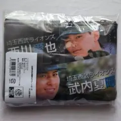 埼玉西武ライオンズ 圧倒的至近距離ポーチ