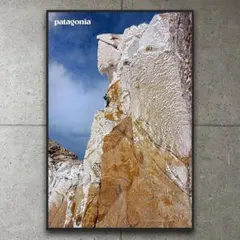 花井祐介／Patagonia パタゴニア／シルクスクリーン版画 - メルカリ