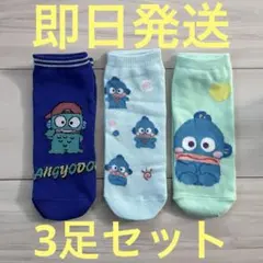 ハンギョドン　靴下　3足セット　23〜25㎝　レディース　女性　サンリオ　新品