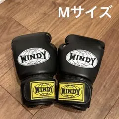 2026年最新】windy グローブの人気アイテム - メルカリ