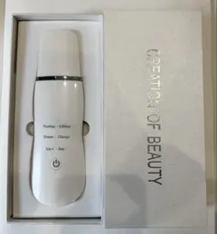 CREATION OF BEAUTY 美顔器 COSBEAUTY、税別16,800円の±30度で温冷ケアができる美顔器 - 価格.com