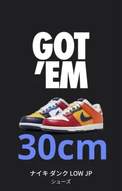 Nike Dunk Low CO.JP What The 新品30cm