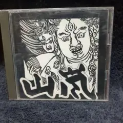 山嵐　CD　12枚セット 嵐 CD 初回限定盤12枚 通常盤 1枚 アルバム 2枚 まとめ売り CDセット