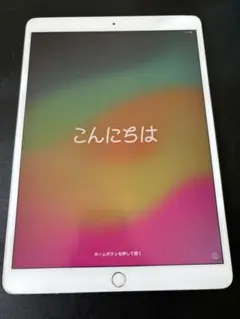 iPad Pro wifiモデル10.5インチ 256G
