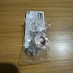 ヒロアカ　めじるしアクセサリー2 轟焦凍