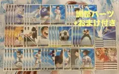 VSS鑑定 10+ キャプテン翼 大空翼SRブラックラベル ヴァイスシュヴァルツ VSS鑑定 10+ キャプテン翼 大空翼SRブラックラベル ヴァイス