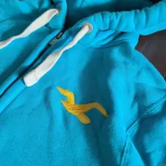 HOLLISTER ジップアップパーカー ブルー 刺繍ロゴ