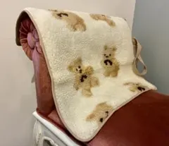 Item thumbnail for item e00c32ed-1a68-43ce-9dd0-22e1d8017300