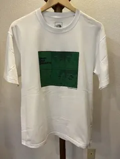 THE NORTH FACE グラフィックTシャツ L