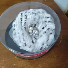 フラワーデザイン ブローチ・コサージュ