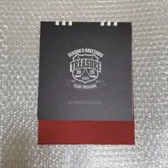 TREASURE シーグリ封入 卓上カレンダー