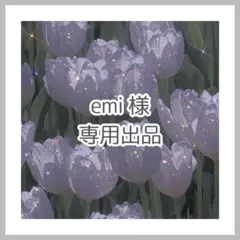 amiiboカードまとめ売り emi 様