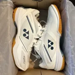 希少 MIZUNO ミズノ メンズ ジェネム SL BOA 4E 28㎝ 幅広 - メルカリ