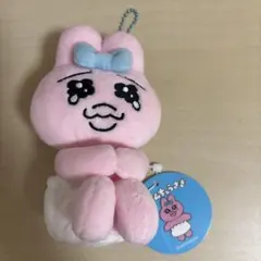 風のハルカ きりぼんちゃん ミニマスコット - メルカリ