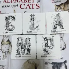 Item thumbnail for item ab1fc075-3b5c-48b3-b9d1-032efd0bd0eb