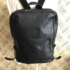 ロンシャン リュック バックパック ビジネスバッグ 革 黒 FP25