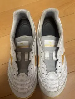 Mizuno モナルシーダネオ 24.5㎝