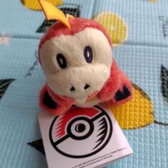 ポケモンセンターオリジナル ホゲータ 1 2の……ポカン！ソフビ