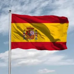 スペイン 国旗 フラッグ 応援 150cm flag 旗 サッカー インテリア